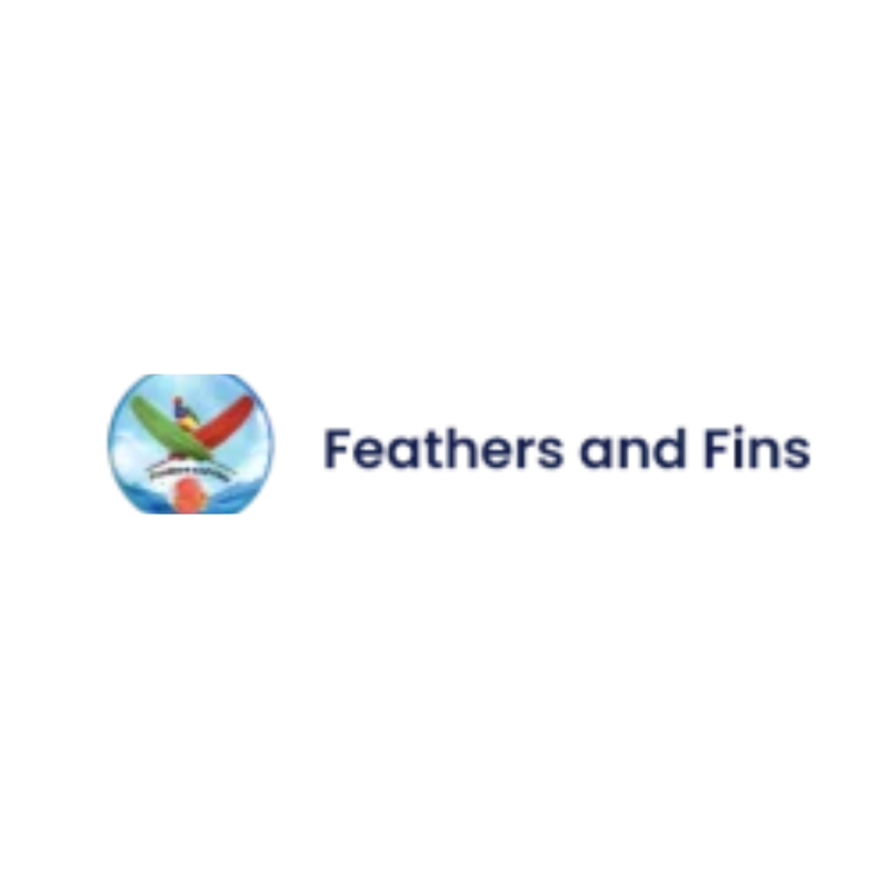 Feathersand Fins