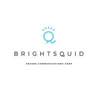 Brightsquid