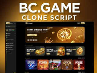 Turnkey BC.Game Clone Script for your seamless gaming experience with our ultimate offer