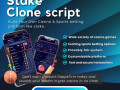 minimize-costs-maximize-success-stake-clone-script-for-swift-casino-launch-small-0