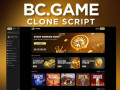 achieve-crypto-casino-excellence-with-our-bcgame-clone-script-small-0