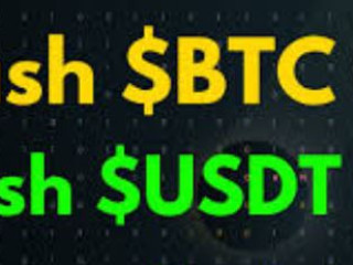 Top-Notch USDT Flashing Software Services=