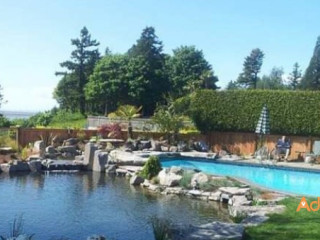 Water Feature Service Lower Mainland