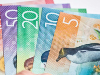 Buy Counterfeit New Zealand Dollar online=