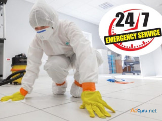 Your 24/7 Emergency Restoration Services