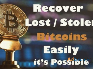 Best Bitcoin Private Key Recovery Software 2024~