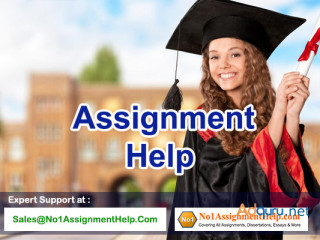 Assignment Help - for Engineering and Nursing by No1AssignmentHelp.Com