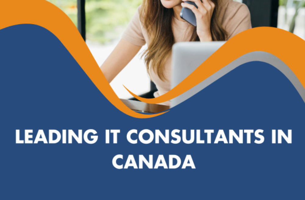 leading-it-consultants-in-canada-dwellfox-big-0