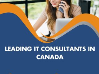 Leading IT Consultants In Canada - Dwellfox