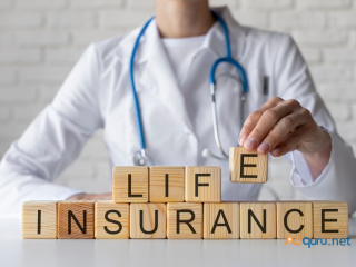 Honest Canada Protection Plan Life Insurance Reviews