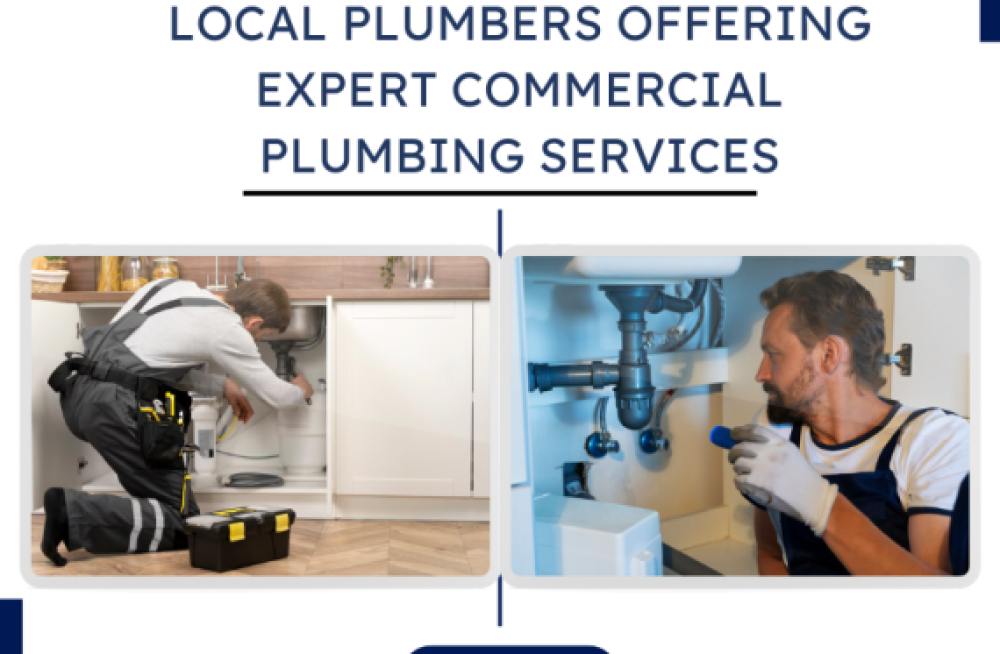 local-plumbers-offering-expert-commercial-plumbing-services-big-0