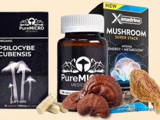 Get The Best Magic Mushrooms.