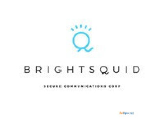 Secure Mail Service Trusted by 50,000+ Clinics for Privacy and Efficiency - Brightsquid