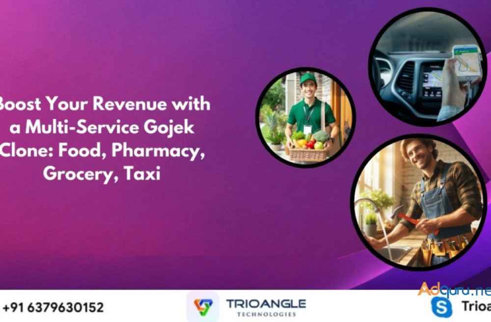 boost-your-revenue-with-a-multi-service-gojek-clone-food-pharmacy-grocery-taxi-big-0