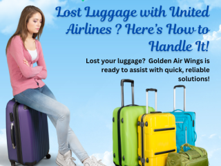 United Airlines Lost Baggage Policy 24*7 Help