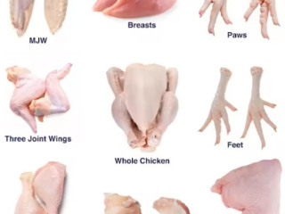 Wholesale Frozen Chickens, Bovine Beef Wholesale=