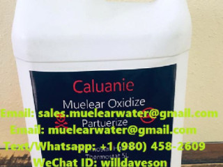 Caluanie Muelear Manufacturer=