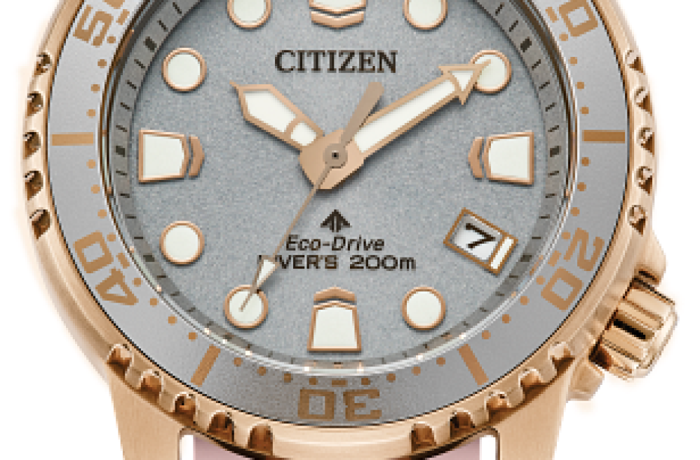 citizen-divers-watch-big-0