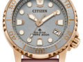 citizen-divers-watch-small-0