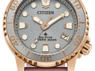 Citizen Divers Watch