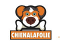 les-meilleures-tondeuses-electriques-pour-chien-small-0