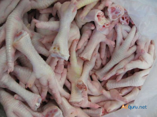 Frozen Chicken Feet for Sale Bulk=