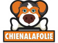 les-meilleures-tondeuses-electriques-pour-chien-small-0