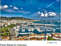 how-and-where-to-get-weed-in-cannes-small-0