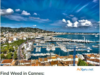 How and Where to Get Weed in Cannes-