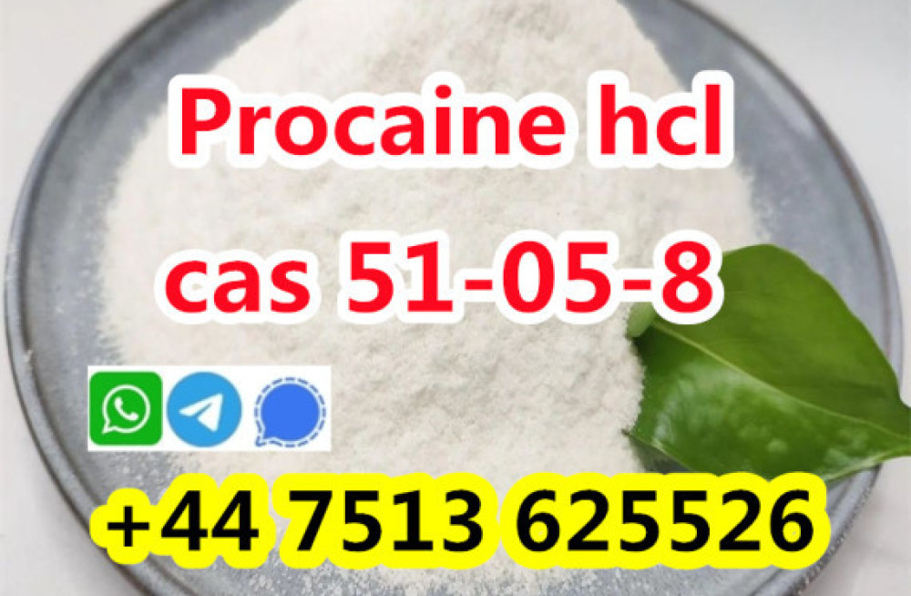 high-purity-cas-51-05-8-procaine-hcl-procaine-hydrochloride-global-ship-big-2