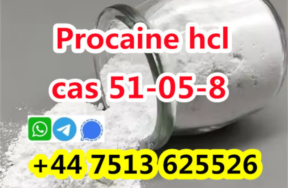 high-purity-cas-51-05-8-procaine-hcl-procaine-hydrochloride-global-ship-big-3