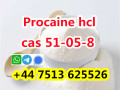 high-purity-cas-51-05-8-procaine-hcl-procaine-hydrochloride-global-ship-small-0