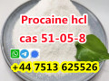 high-purity-cas-51-05-8-procaine-hcl-procaine-hydrochloride-global-ship-small-2