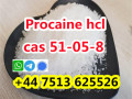 high-purity-cas-51-05-8-procaine-hcl-procaine-hydrochloride-global-ship-small-1