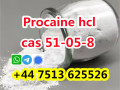 high-purity-cas-51-05-8-procaine-hcl-procaine-hydrochloride-global-ship-small-3