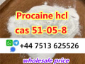 high-purity-cas-51-05-8-procaine-hcl-procaine-hydrochloride-global-ship-small-4