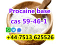 cas-59-46-1-procaine-base-powder-door-to-door-safe-delivery-small-4