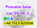 cas-59-46-1-procaine-base-powder-door-to-door-safe-delivery-small-3