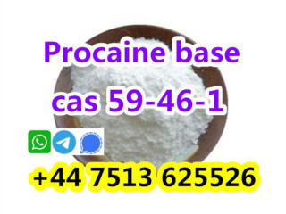 Cas 59-46-1 Procaine base powder door to door safe delivery