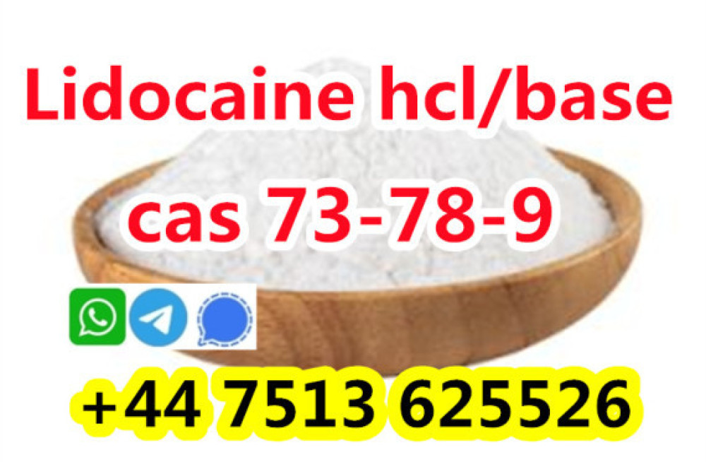 wholesale-price-cas-73-78-9-lidocaine-hydrochloride-powder-big-3