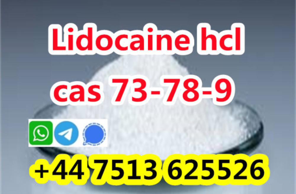 wholesale-price-cas-73-78-9-lidocaine-hydrochloride-powder-big-1