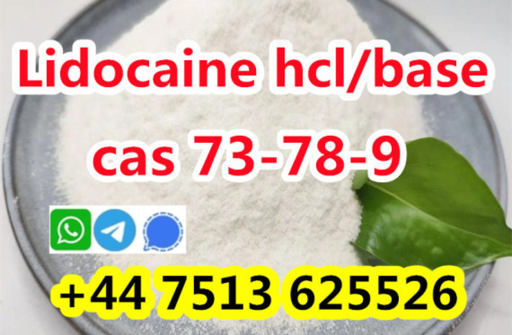 wholesale-price-cas-73-78-9-lidocaine-hydrochloride-powder-big-4