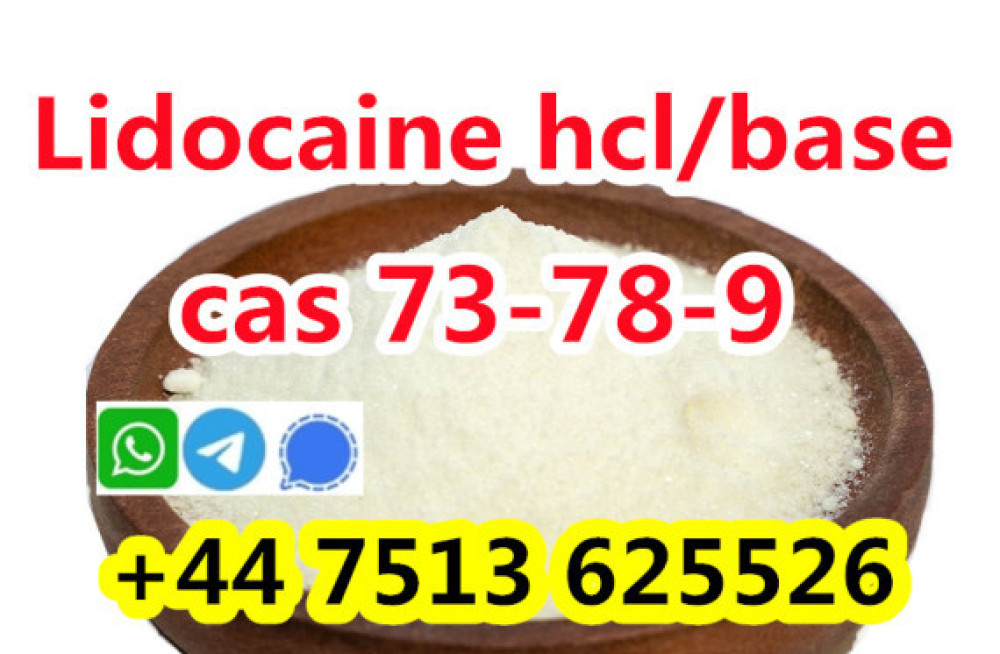 wholesale-price-cas-73-78-9-lidocaine-hydrochloride-powder-big-2