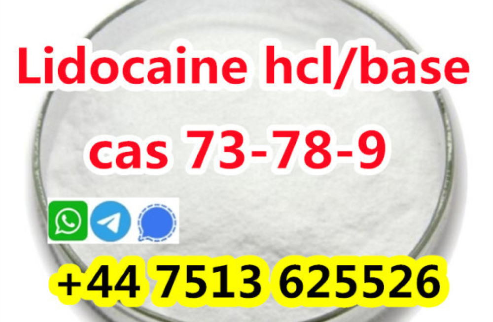 wholesale-price-cas-73-78-9-lidocaine-hydrochloride-powder-big-0