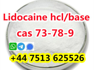 Wholesale price cas 73-78-9 Lidocaine Hydrochloride powder