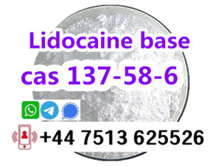 Cas 137-58-6 Lidocaine base to europe safety