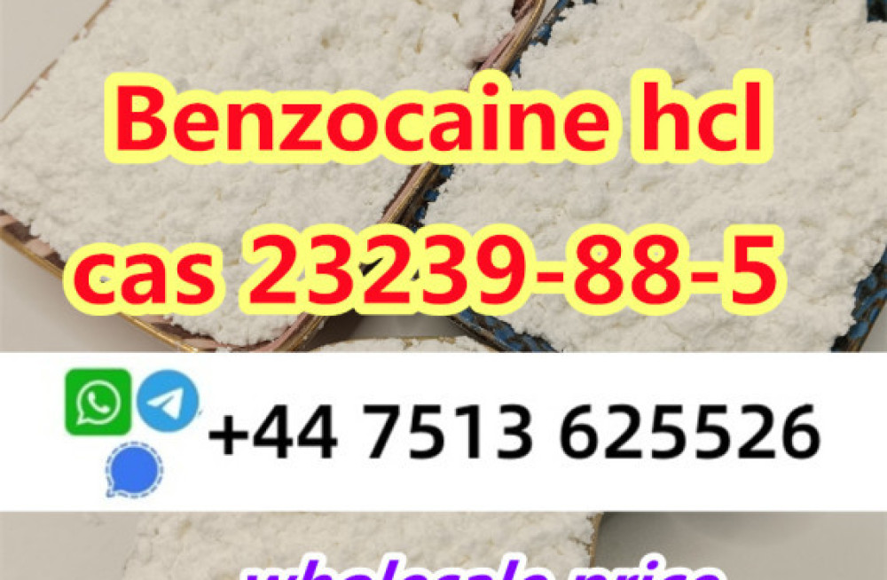 cas-23239-88-5-benzocaine-hydrochloride-hcl-factory-direct-supply-big-1