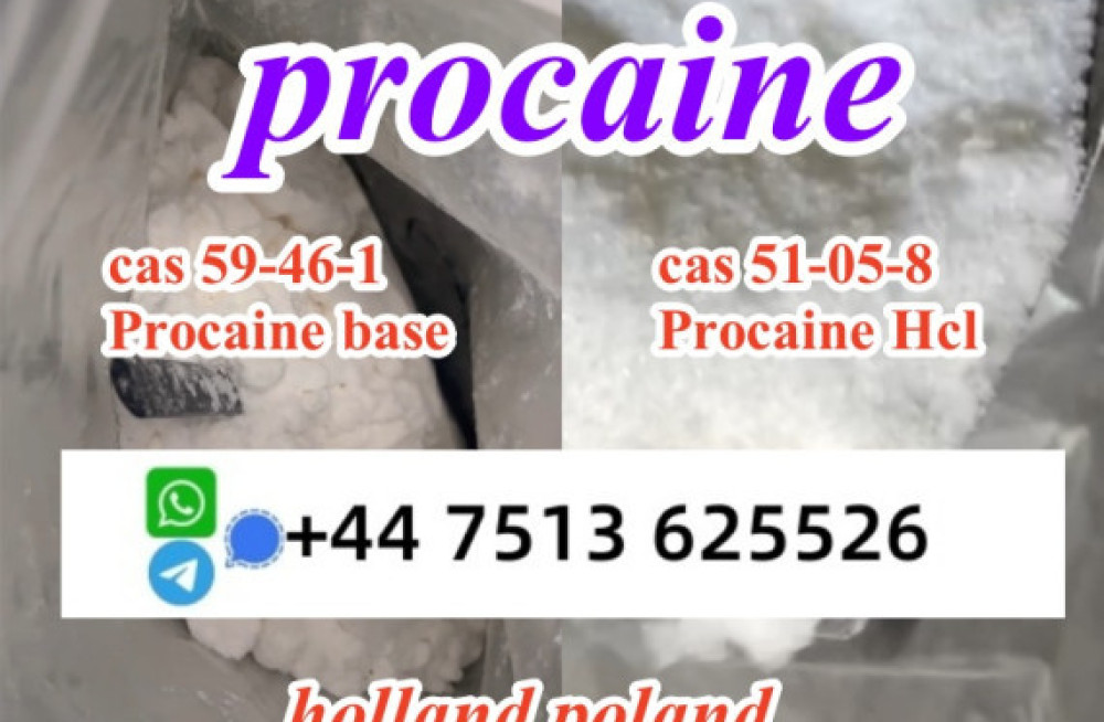 cas-59-46-1-procaine-base-powder-procaine-hcl-safe-ship-to-holland-poland-big-2