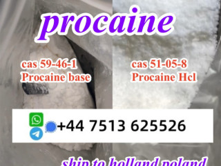 Cas 59-46-1 Procaine base powder Procaine Hcl safe ship to Holland Poland