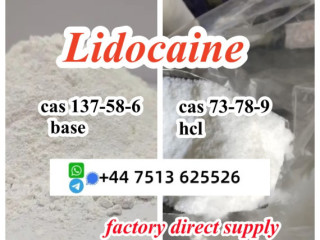 High quality cas 137-58-6 Lidocaine base cas 73-78-9 Lidocaine hcl global ship